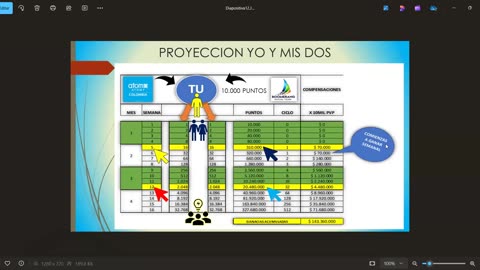 presentacion vipt fmg