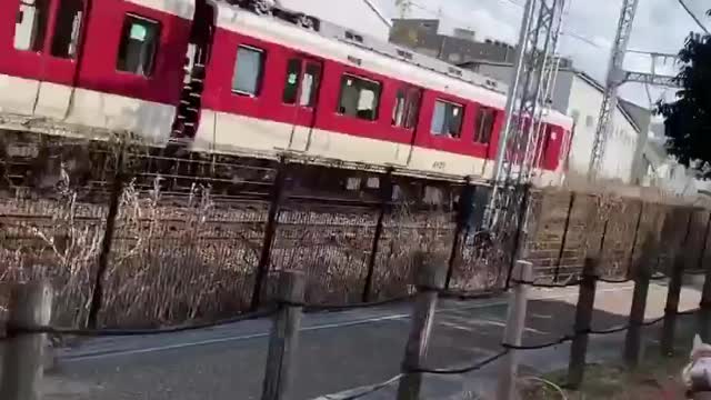 This dog is racing with the train. || this dog running so fast.