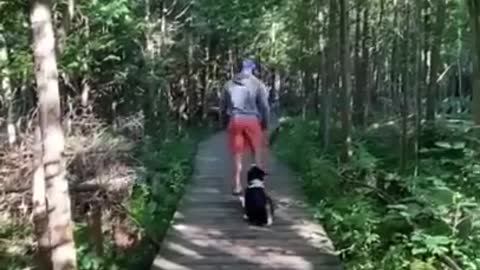 Funniest animal compilation of 2023