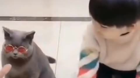 CAT Doing Acting 😍😜🤣