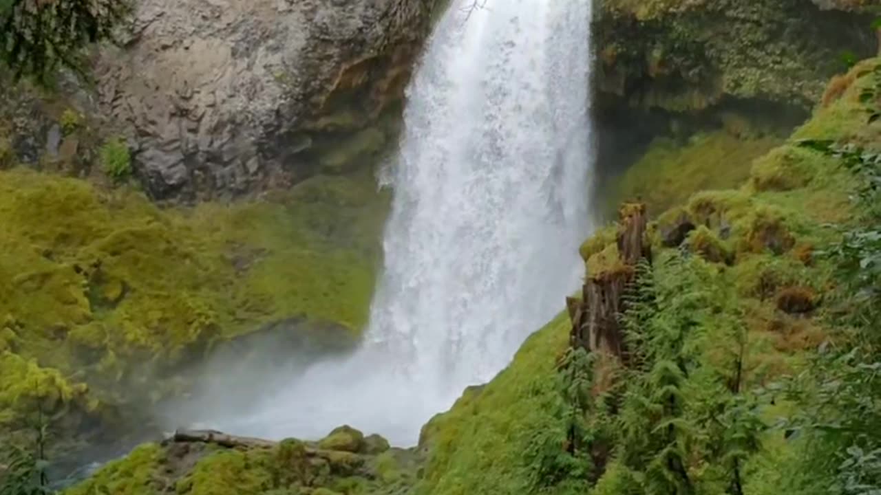 Mckenzie falls oregon