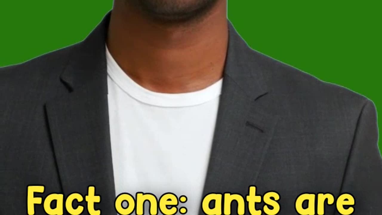 : "The Power of Ants"