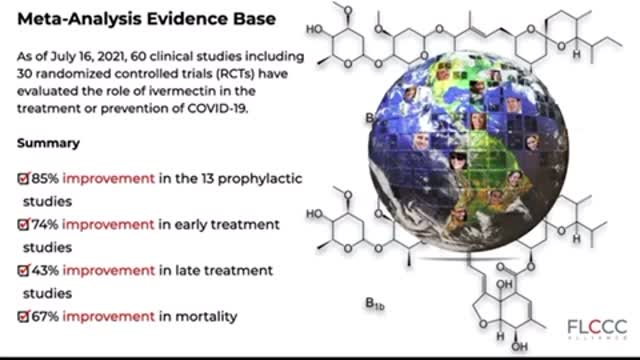 Prophylaxis (Prevention Protocol)