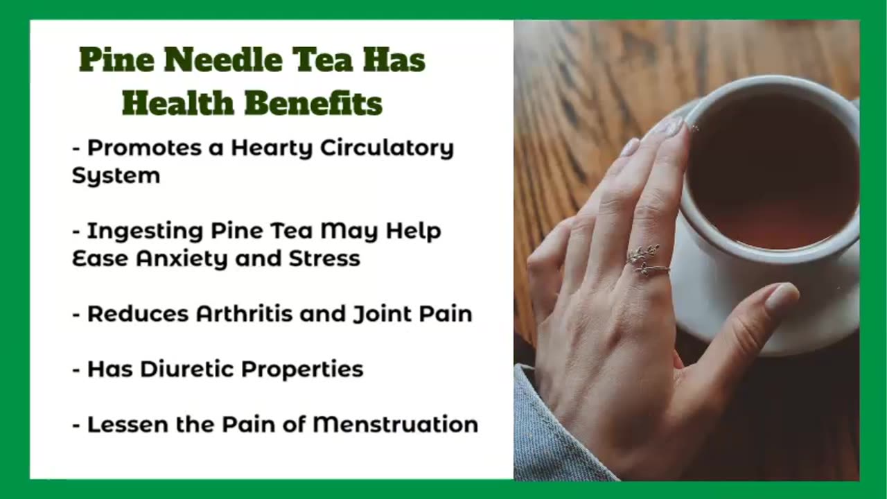 Is Pine Needle Tea Good for Diabetics?