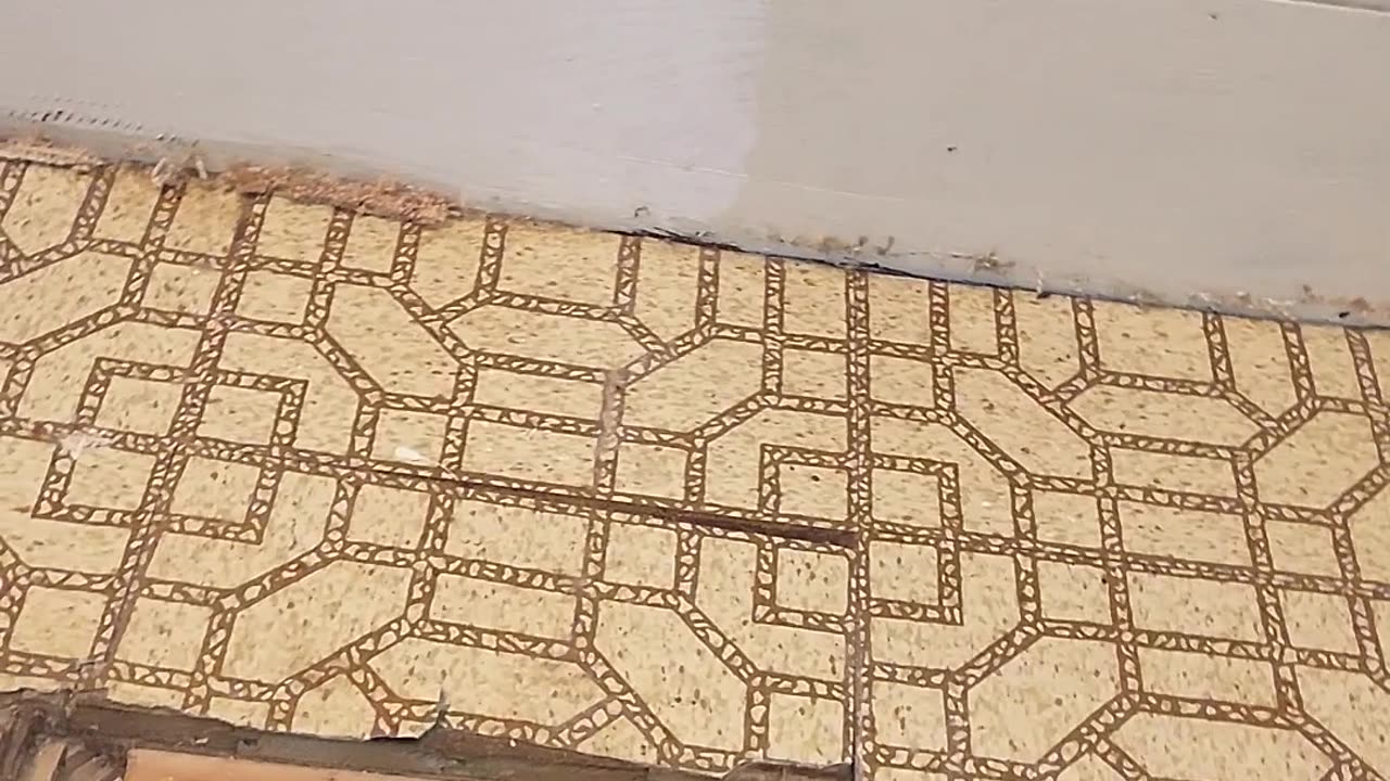 Man Finds Hidden Trap Door in Bathroom