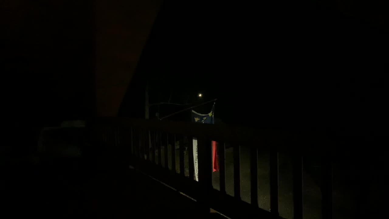 🌳NW NC at The Treehouse 3/1/23 3:06am 50° going up to 70 🐕 Coyotes howling get the dogs stirred up