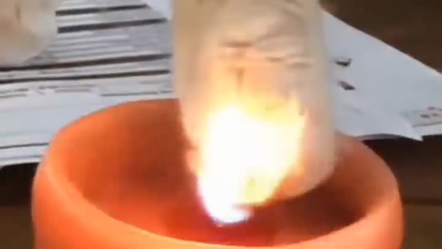 Funny dogs and cats video 🤣😅