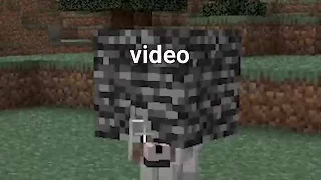 sub for a cookie 🍪