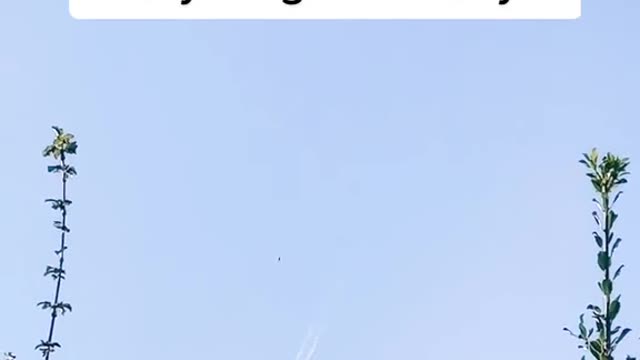 Me: Suspicious of everything in the Sky....