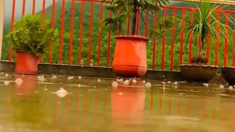 Rainny video