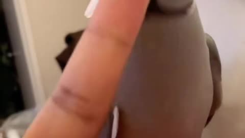 Funny Parrot🦜 Talking about