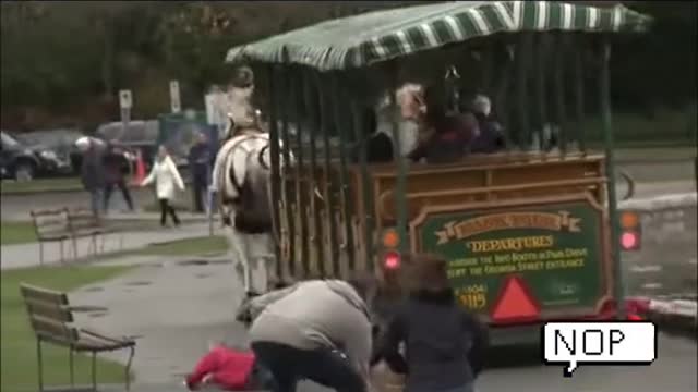 Horses Went “Wild”During Their Ride to Tourists