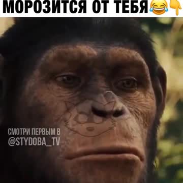 Meanness and deception