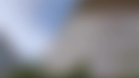 Zao Tang 2021