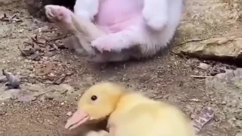So Cute 😍 💓 💗 💕