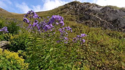 VIEWS FROM THE PLATEAU-61