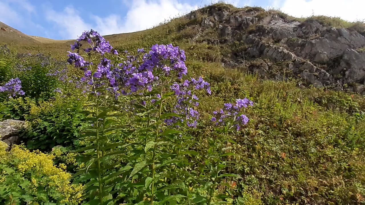 VIEWS FROM THE PLATEAU-61