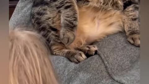 Penny_just_wants_some_peace_and_quiet_around_here…