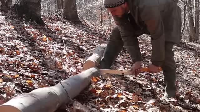 building Bushcraft and cooking in the forest.