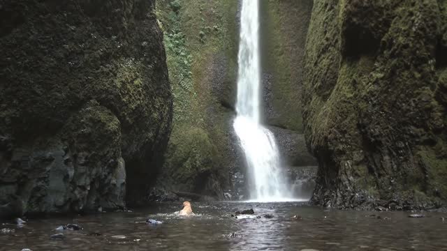 Little Pappi went after the waterfall