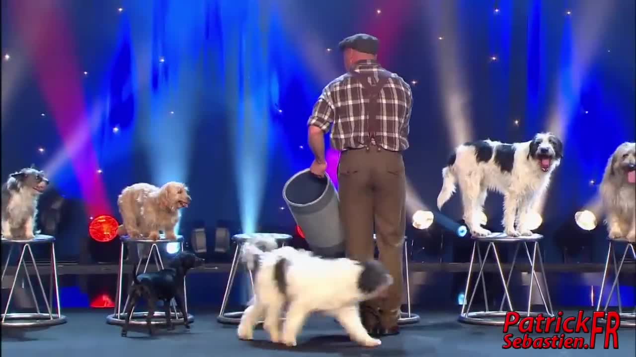 Wolfgang Lauenburger - Dressage de Chiens - Le Plus Grand Cabaret Du Monde