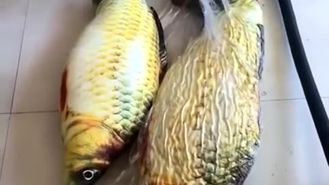 Satisfying toy fish