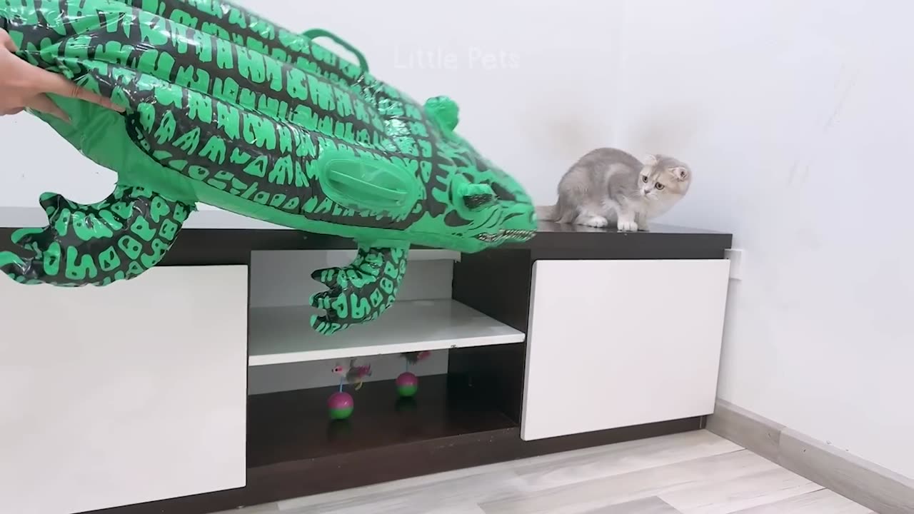 Funniest Animals 2023 ππ Best Cats and Dogs Videos πΆπΈ Part 1