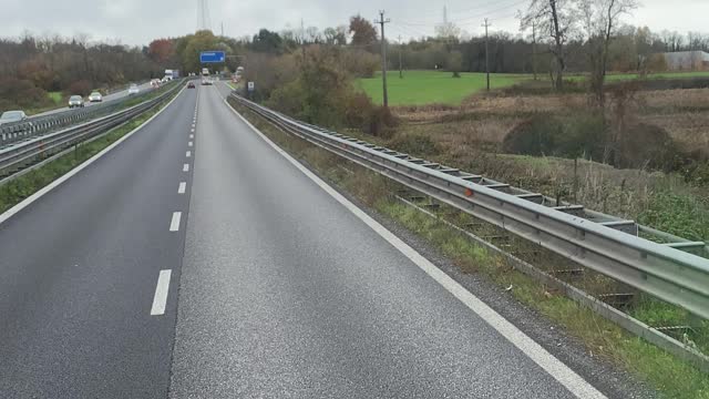 Rescuing a Dog from the Highway