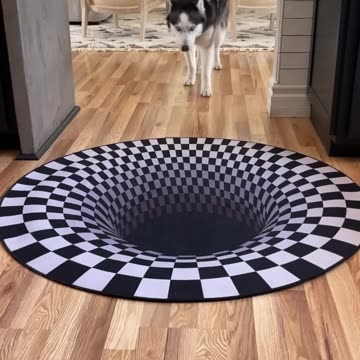 Dogs funny reaction to entering optical illusion rug! #shorts