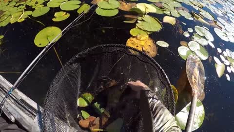 A Relaxing Day Of Frog Bassin'-13