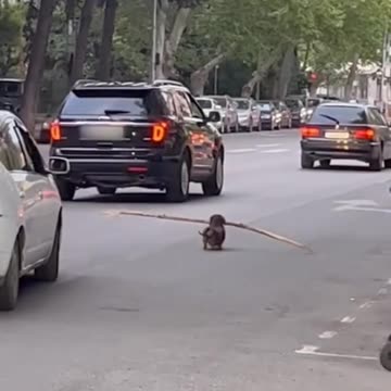 Everything in the house... everything in the house... That's what mom taught!)))