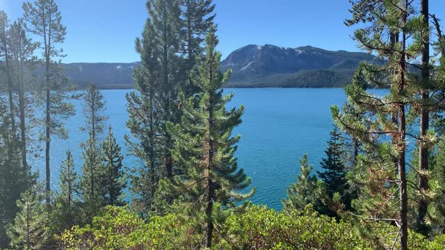 Central Oregon – Paulina Lake “Grand Loop” – Forest Perspective