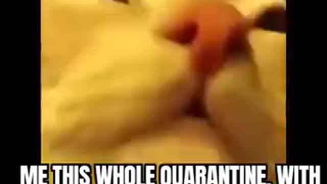 Quarantine time!