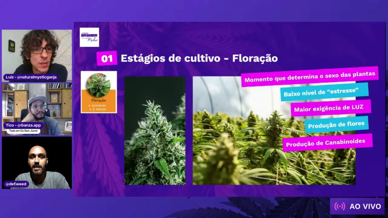 Dia 05 Floração