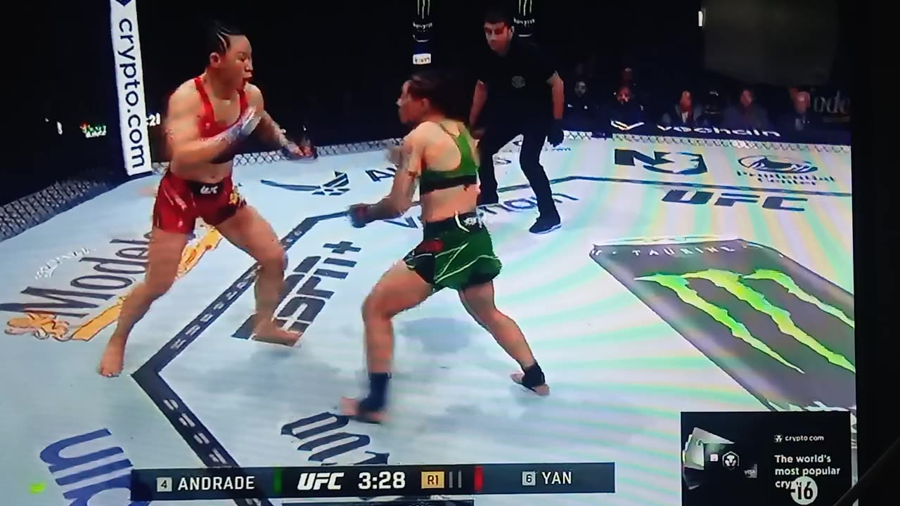 UFC 288