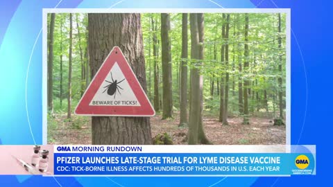 Pfizer announces stage 3 trial for Lyme disease vaccine