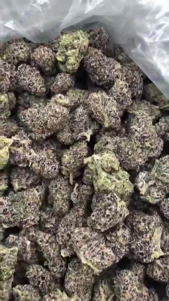 Exotic cannabis buds from Thailand