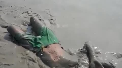 Dumb Mud