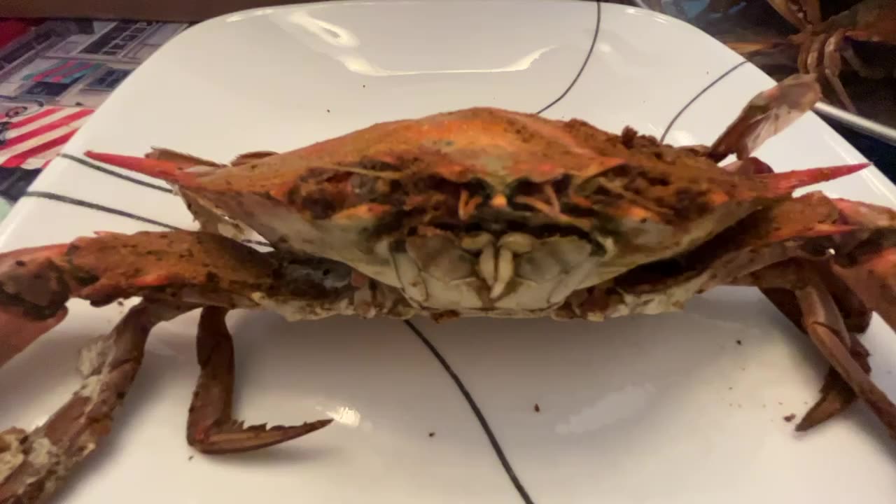 When food stares back…..