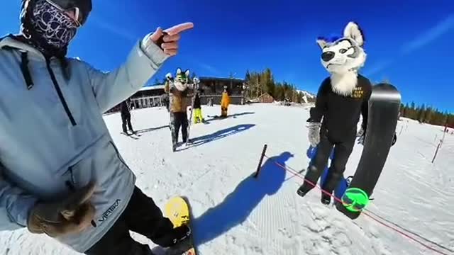 That was a first. #furry #snowboard #halfcabking