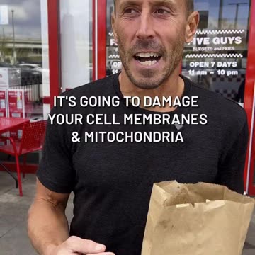 씨앗기름 감자튀김 위험