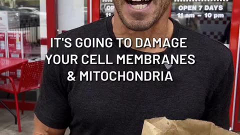 씨앗기름 감자튀김 위험