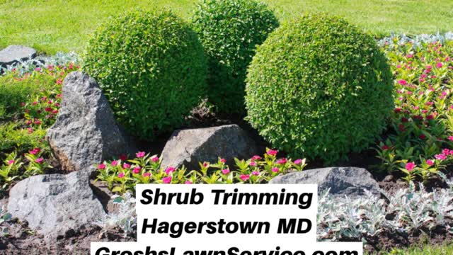 Shrub Trimming Hagerstown MD Landscaping Contractor