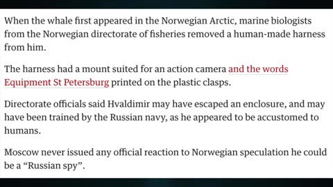Putin says Drones target Moscow. NATO Kosovo crisis. Djokovic, the heart of Serbia. Musk vs. EU.