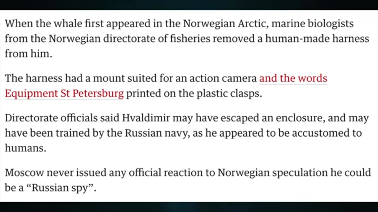 Putin says Drones target Moscow. NATO Kosovo crisis. Djokovic, the heart of Serbia. Musk vs. EU.