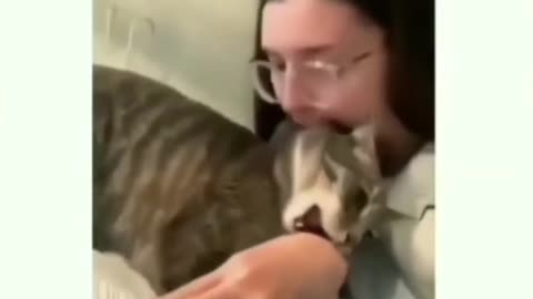 Funny cat video that will make you laugh 😂 part 1