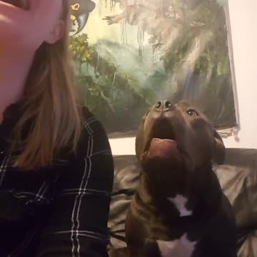 Perro canta de modo muy gracioso a la par de su dueña cantando