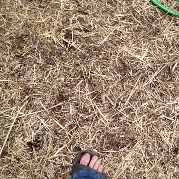 Bravo group 1st company