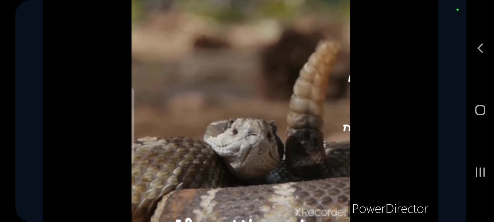 Don't tread on me