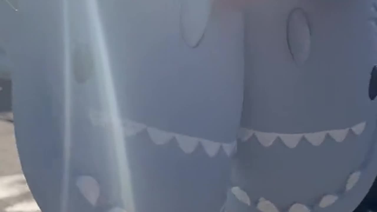 Shark Slides are Durable